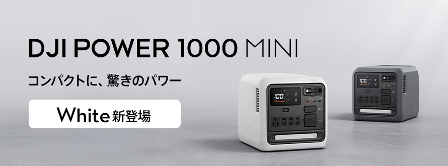 DJI Power 1000 Mini�å���ѥ��Ȥˡ��ä��Υѥ