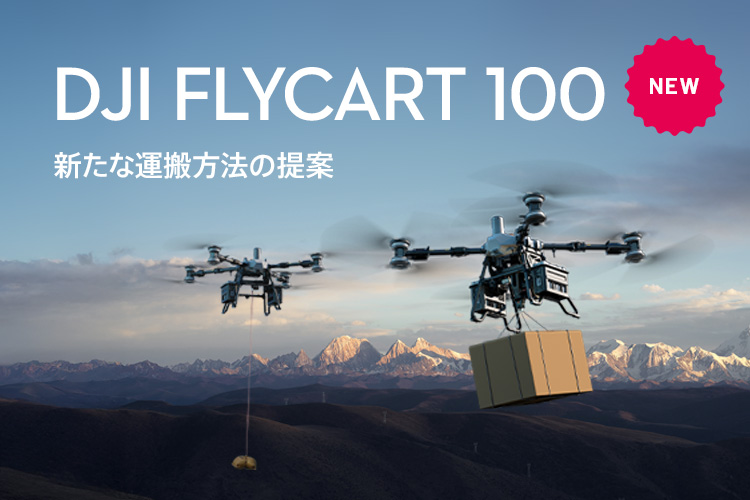 DJI FlyCart 100 | ���¿����������¸�